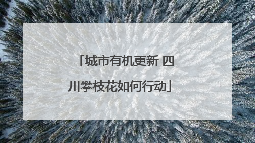 城市有机更新 四川攀枝花如何行动