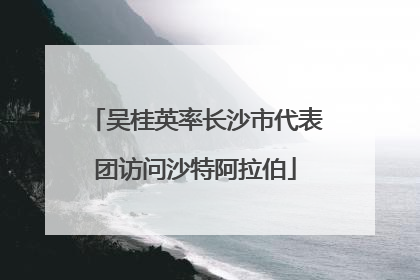 吴桂英率长沙市代表团访问沙特阿拉伯