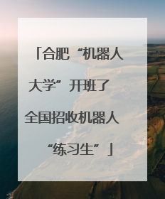 合肥“机器人大学”开班了 全国招收机器人“练习生”