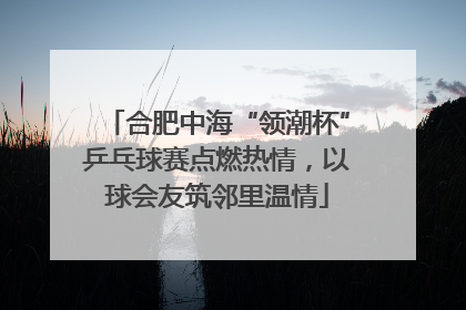 合肥中海“领潮杯”乒乓球赛点燃热情，以球会友筑邻里温情