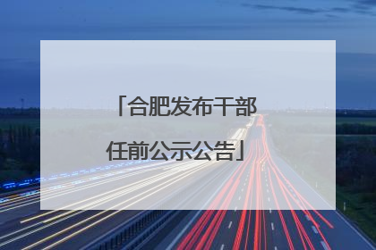 合肥发布干部任前公示公告