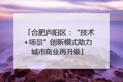 合肥庐阳区：“技术+场景”创新模式助力城市商业再升级