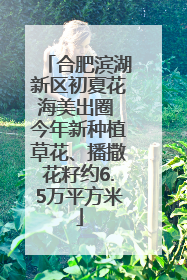 合肥滨湖新区初夏花海美出圈 今年新种植草花、播撒花籽约6.5万平方米