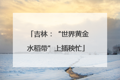 吉林：“世界黄金水稻带”上插秧忙