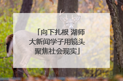 向下扎根 湖师大新闻学子用镜头聚焦社会现实