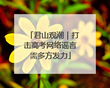 君山观潮｜打击高考网络谣言需多方发力