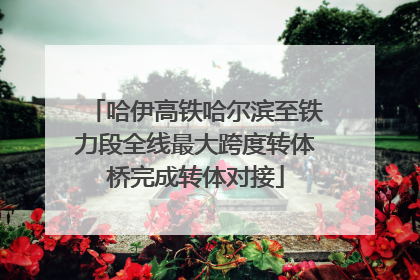 哈伊高铁哈尔滨至铁力段全线最大跨度转体桥完成转体对接