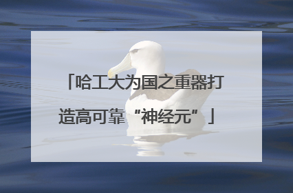 哈工大为国之重器打造高可靠“神经元”