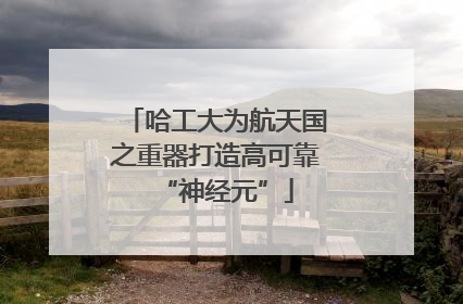 哈工大为航天国之重器打造高可靠“神经元”