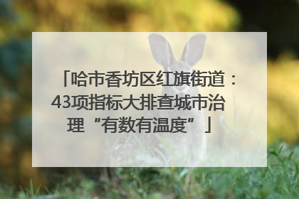 哈市香坊区红旗街道：43项指标大排查城市治理“有数有温度”