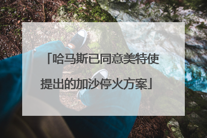 哈马斯已同意美特使提出的加沙停火方案