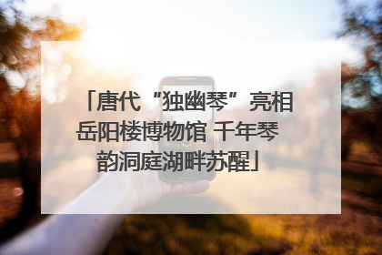 唐代“独幽琴”亮相岳阳楼博物馆 千年琴韵洞庭湖畔苏醒