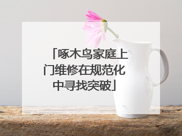 啄木鸟家庭上门维修在规范化中寻找突破