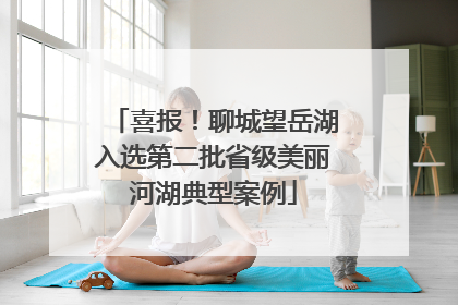 喜报！聊城望岳湖入选第二批省级美丽河湖典型案例