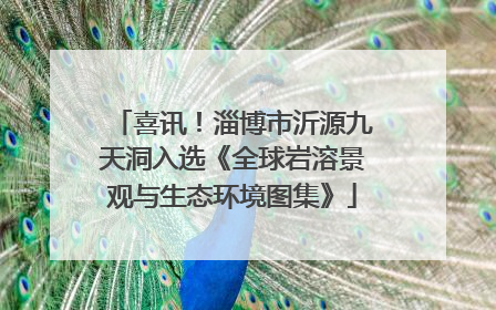 喜讯！淄博市沂源九天洞入选《全球岩溶景观与生态环境图集》