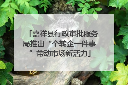 嘉祥县行政审批服务局推出“个转企一件事”带动市场新活力