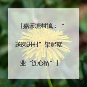 嘉禾塘村镇：“送岗进村”架起就业“连心桥”