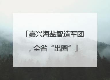 嘉兴海盐智造军团，全省“出圈”