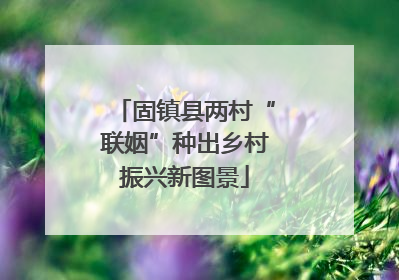 固镇县两村“联姻”种出乡村振兴新图景