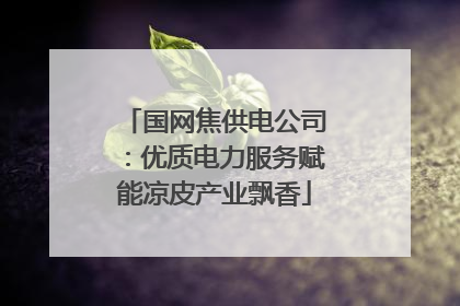 国网焦供电公司：优质电力服务赋能凉皮产业飘香