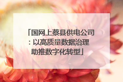 国网上蔡县供电公司：以高质量数据治理 助推数字化转型