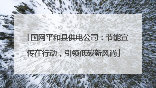 国网平和县供电公司：节能宣传在行动，引领低碳新风尚