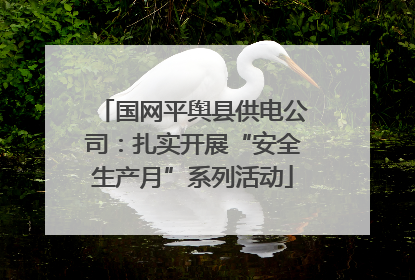 国网平舆县供电公司：扎实开展“安全生产月”系列活动