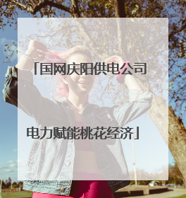 国网庆阳供电公司电力赋能桃花经济