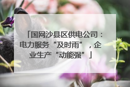 国网沙县区供电公司：电力服务“及时雨”，企业生产“动能强”