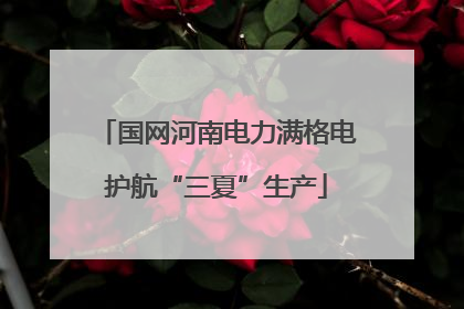 国网河南电力满格电护航“三夏”生产