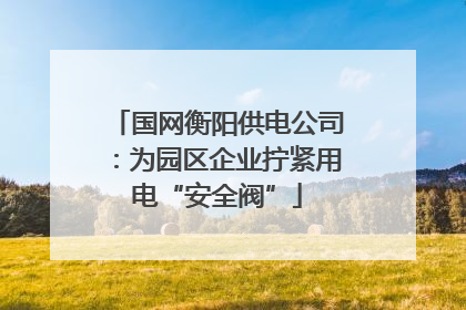 国网衡阳供电公司：为园区企业拧紧用电“安全阀”