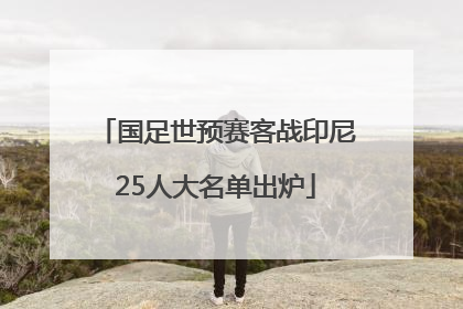 国足世预赛客战印尼25人大名单出炉