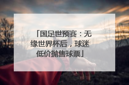 国足世预赛：无缘世界杯后，球迷低价抛售球票