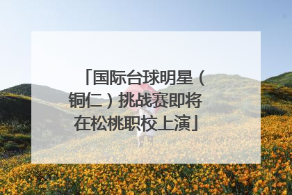 国际台球明星（铜仁）挑战赛即将在松桃职校上演