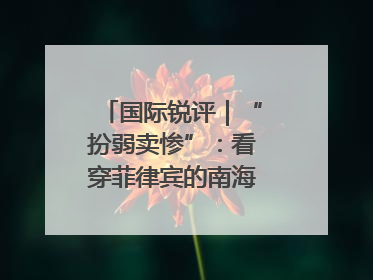 国际锐评｜“扮弱卖惨”：看穿菲律宾的南海讹诈策略