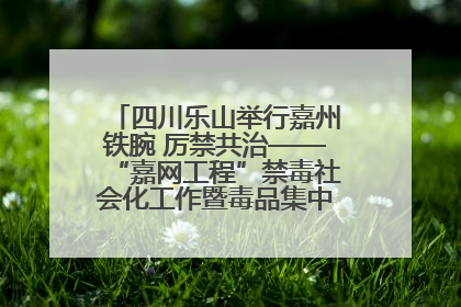 四川乐山举行嘉州铁腕 厉禁共治——“嘉网工程”禁毒社会化工作暨毒品集中销毁启动仪式
