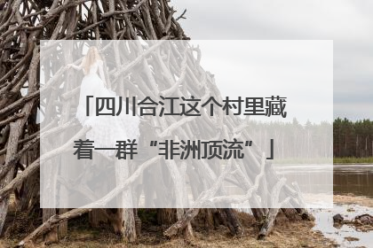 四川合江这个村里藏着一群“非洲顶流”