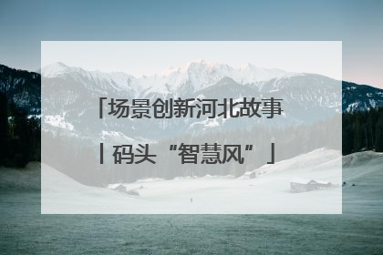 场景创新河北故事丨码头“智慧风”