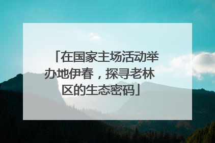 在国家主场活动举办地伊春，探寻老林区的生态密码
