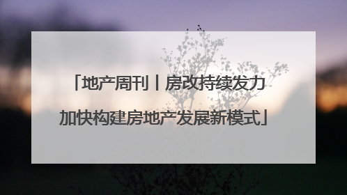 地产周刊丨房改持续发力 加快构建房地产发展新模式