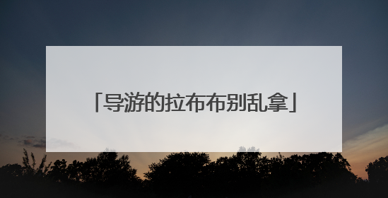 导游的拉布布别乱拿