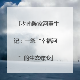 孝南陈家河重生记：一条“幸福河”的生态蝶变