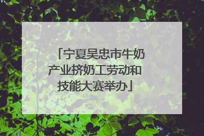 宁夏吴忠市牛奶产业挤奶工劳动和技能大赛举办