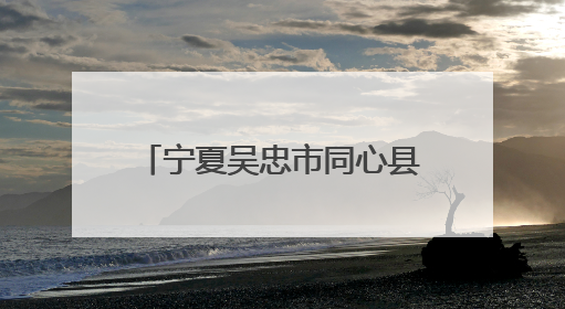 宁夏吴忠市同心县举办“粽韵同心·文明同行”主题活动
