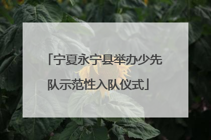 宁夏永宁县举办少先队示范性入队仪式