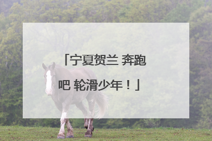 宁夏贺兰 奔跑吧 轮滑少年！