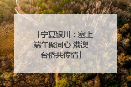 宁夏银川：塞上端午聚同心 港澳台侨共传情