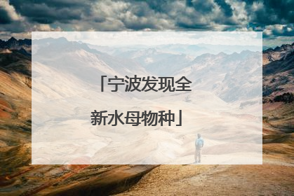宁波发现全新水母物种