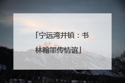 宁远湾井镇：书林翰墨传情谊