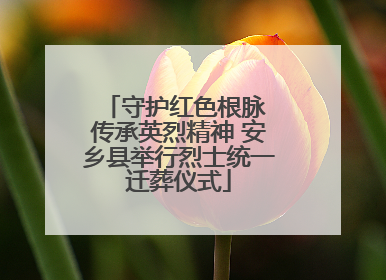 守护红色根脉 传承英烈精神 安乡县举行烈士统一迁葬仪式